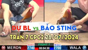 Trận 7 CPC2 28/07/2024 - A Dự Bảo Lộc Dí Bạc Bảo Sting Và Cái Kết