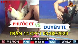 rận 14 CPC1 03/08/2024 A Phước CT 2700g vs A Duyên TI 2650g Đồng Xổ 1 TỶ gà duyên ti đá quá gê gơm 1 chân a phước ói chết tại chỗ