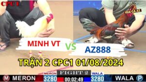 Trận 2 CPC3 01/08/2024 A Minh VT 3280g vs AZ888 3280g Đồng Xổ 30 điều xanh az888 đá mấy chân hạ đẹp gà bướm a minh